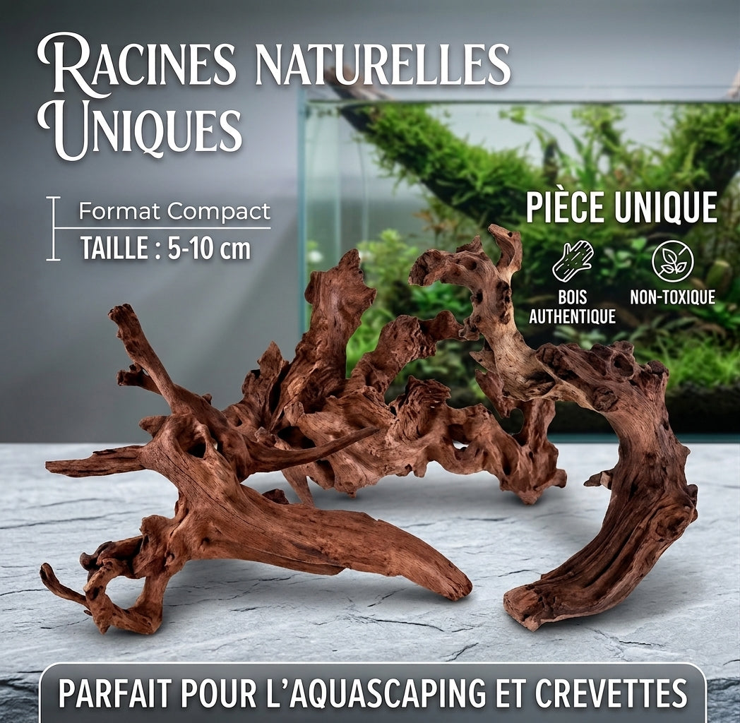 Racine de Bois Naturel pour Aquascaping & Décor d'Aquarium