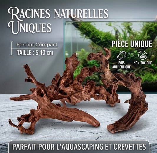 Racine de Bois Naturel pour Aquascaping & Décor d'Aquarium