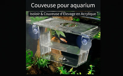 Isoloir & Couveuse d'Élevage en Acrylique pour Aquarium