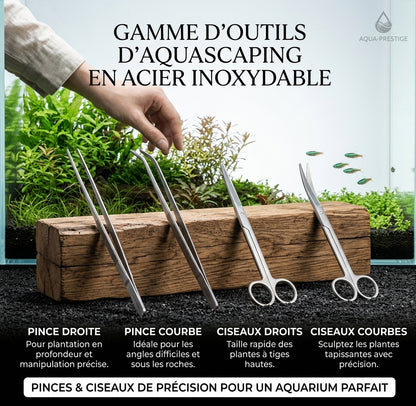 Pince d'Entretien pour Aquarium — Plantation Précise & Aquascaping