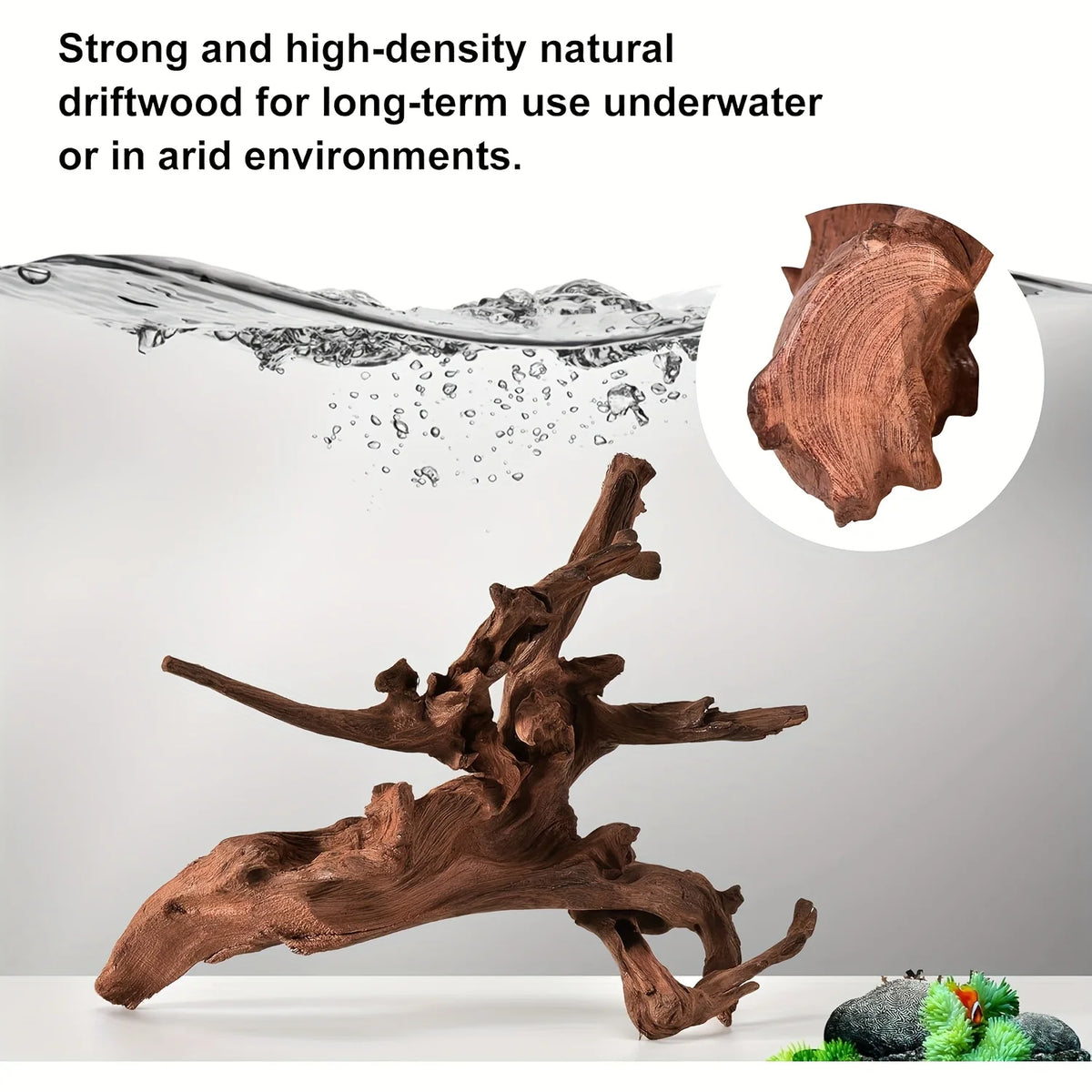 Racine de Bois Naturel pour Aquascaping & Décor d'Aquarium