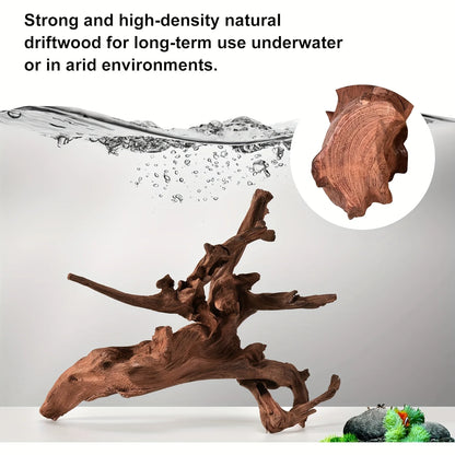 Racine de Bois Naturel pour Aquascaping & Décor d'Aquarium