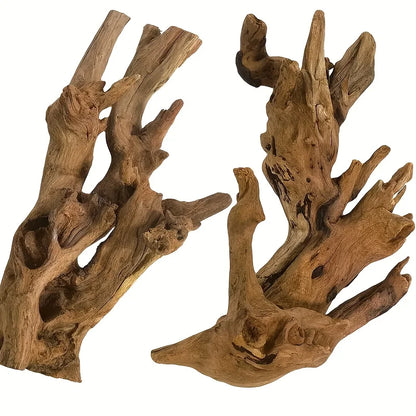 Racine de Bois Naturel pour Aquascaping & Décor d'Aquarium