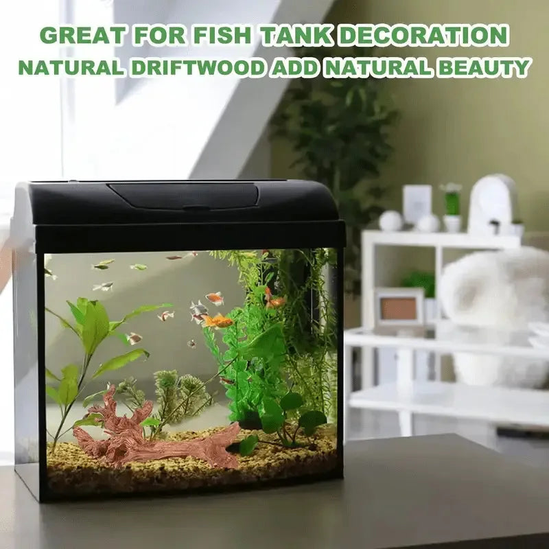 Racine de Bois Naturel pour Aquascaping & Décor d'Aquarium