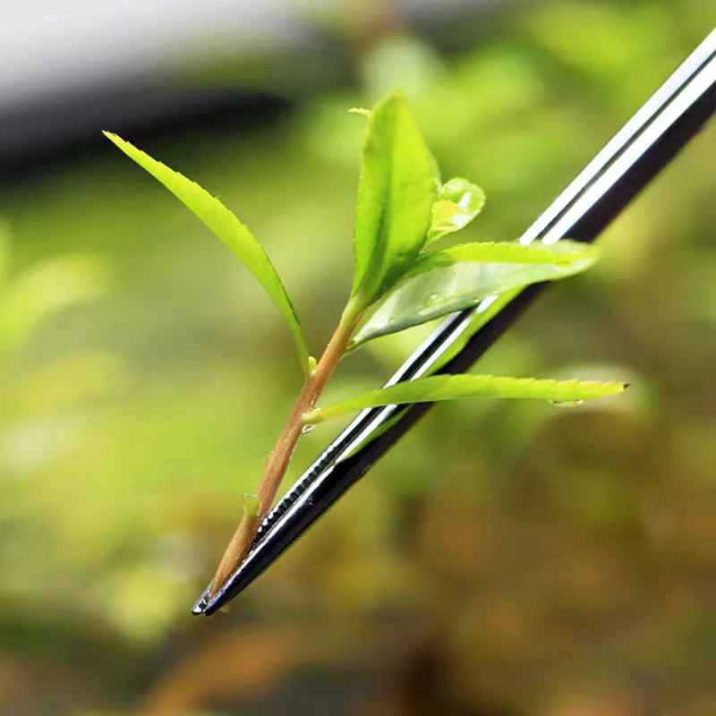 Pince d'Entretien pour Aquarium — Plantation Précise & Aquascaping