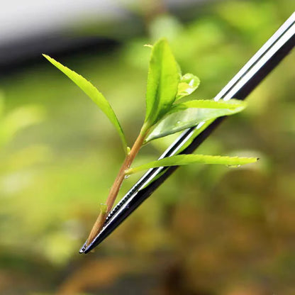 Pince d'Entretien pour Aquarium — Plantation Précise & Aquascaping