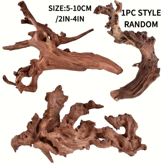 Racine de Bois Naturel pour Aquascaping & Décor d'Aquarium