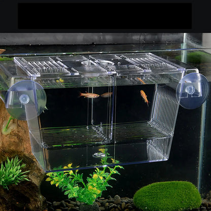 Isoloir & Couveuse d'Élevage en Acrylique pour Aquarium
