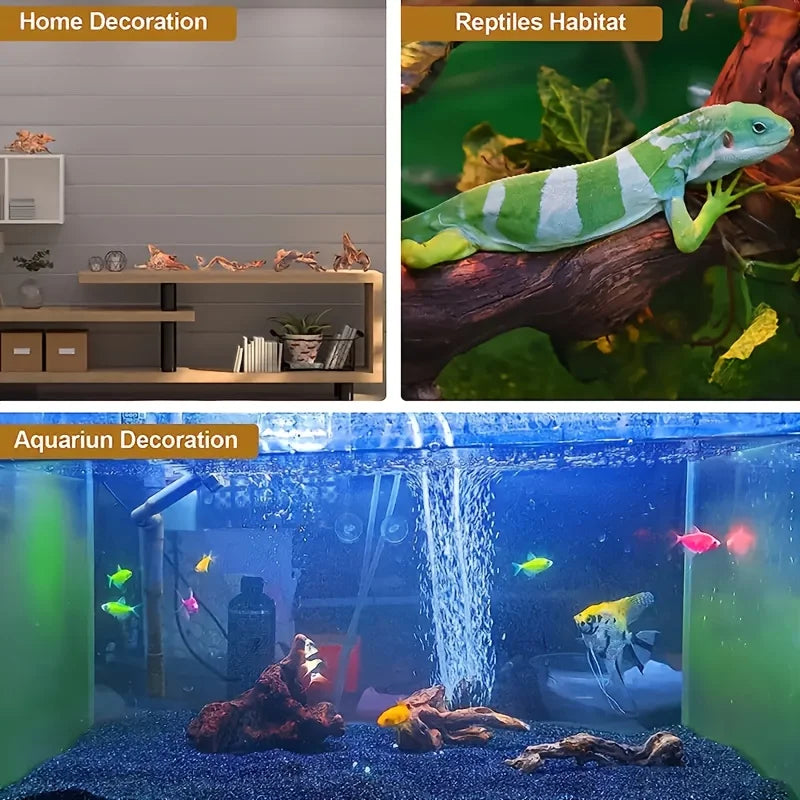 Racine de Bois Naturel pour Aquascaping & Décor d'Aquarium