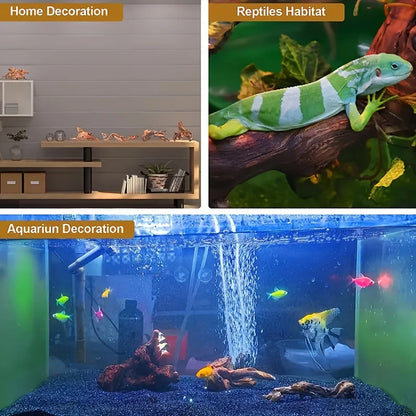 Racine de Bois Naturel pour Aquascaping & Décor d'Aquarium